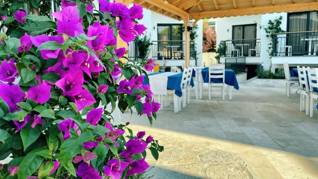 Orion Hotel بيتيس المظهر الخارجي الصورة