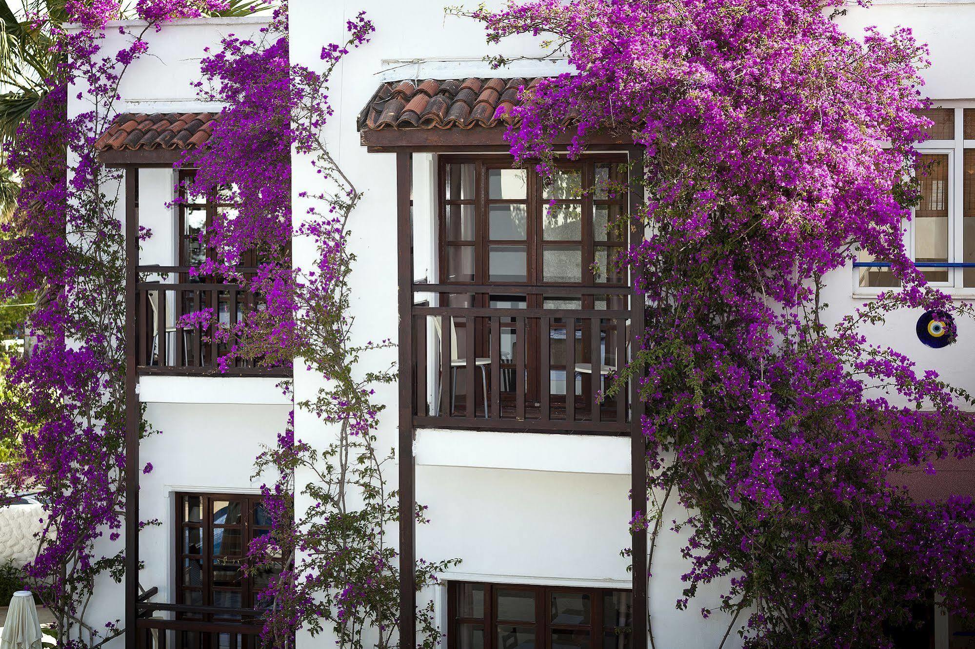 Orion Hotel بيتيس المظهر الخارجي الصورة